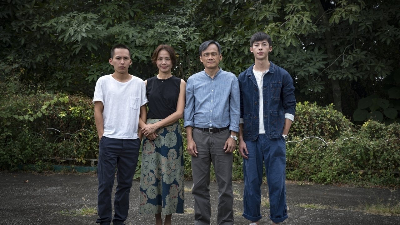 陽光普照