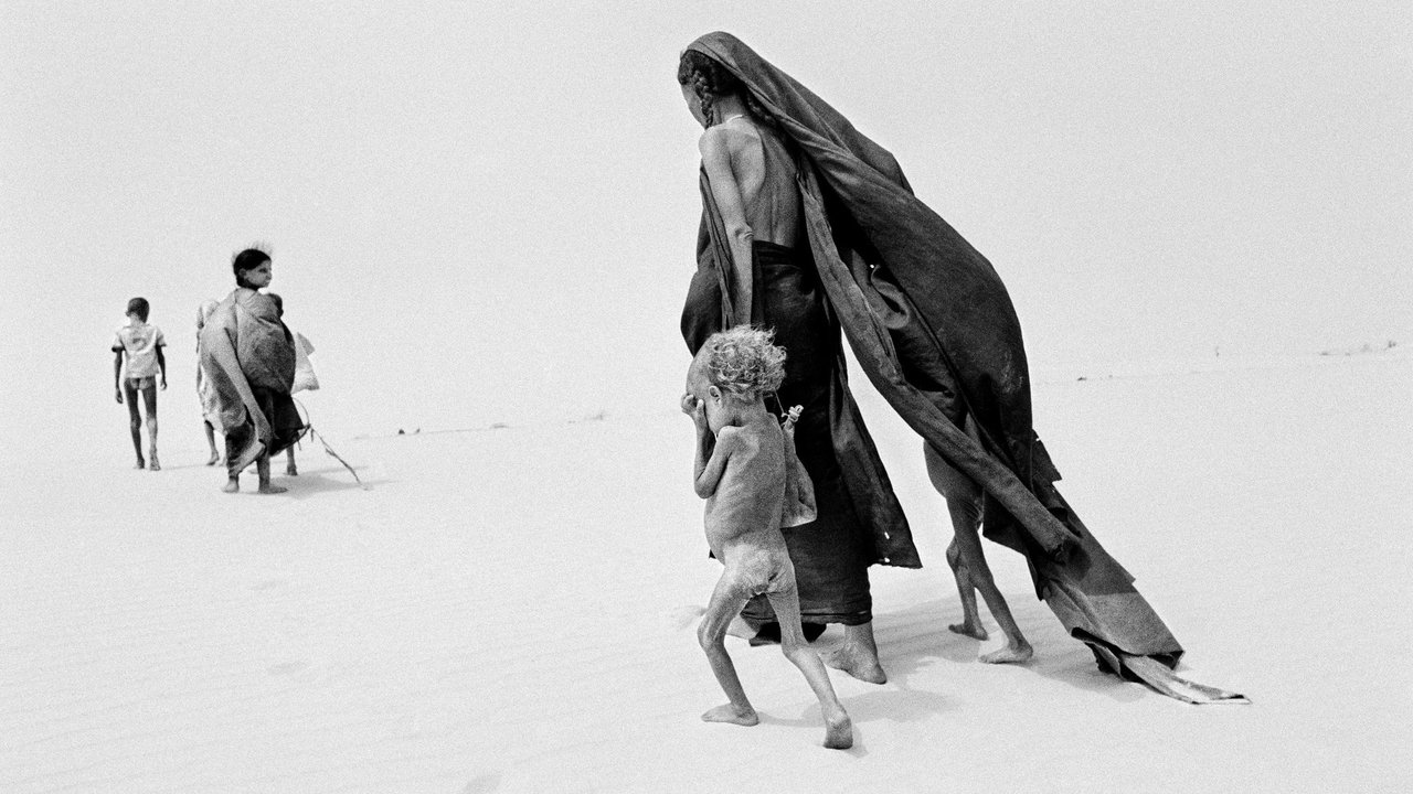 Le sel de la terre