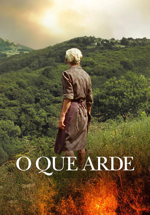 O que arde