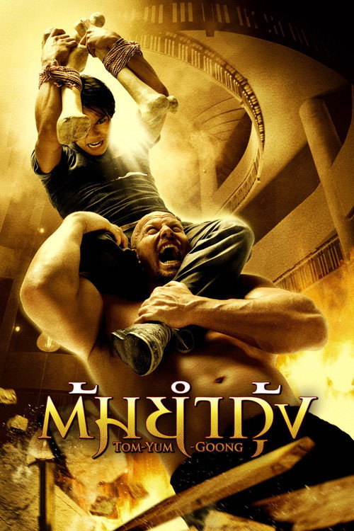 محافظ 1