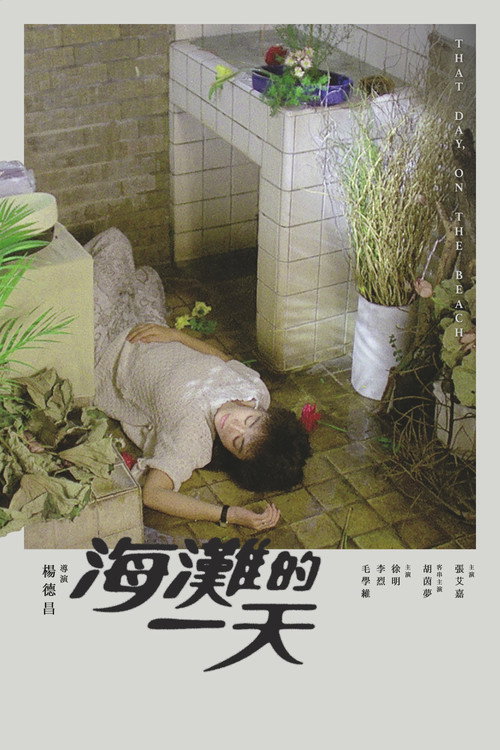 海灘的一天