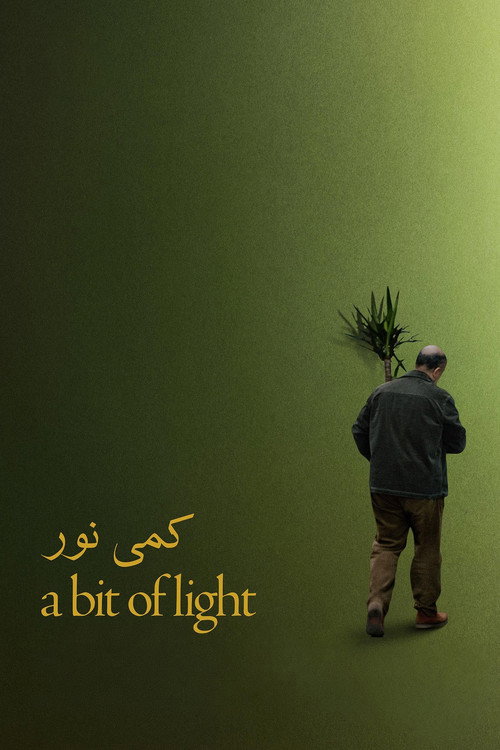 کمی نور
