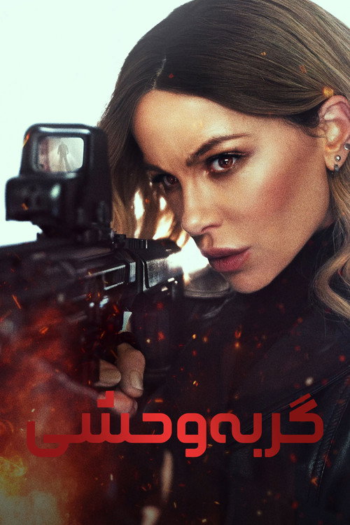 گربه وحشی