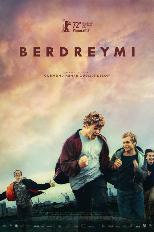 Berdreymi
