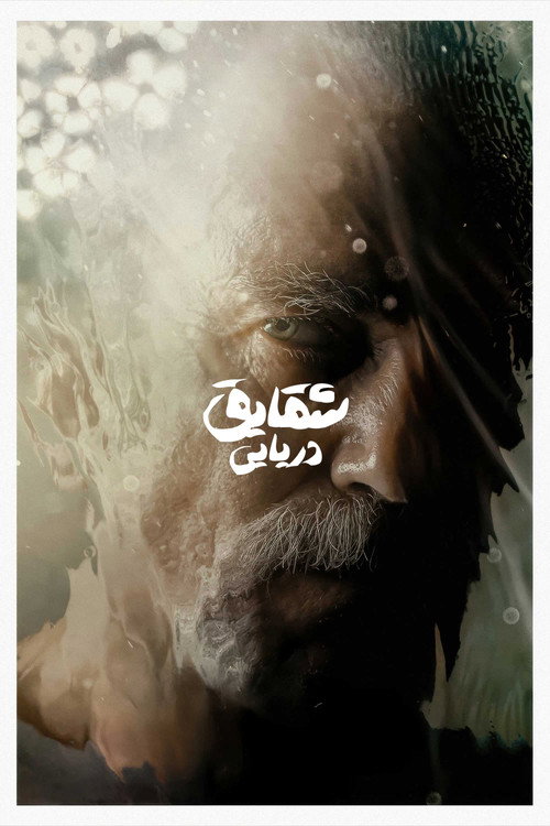 شقایق دریایی