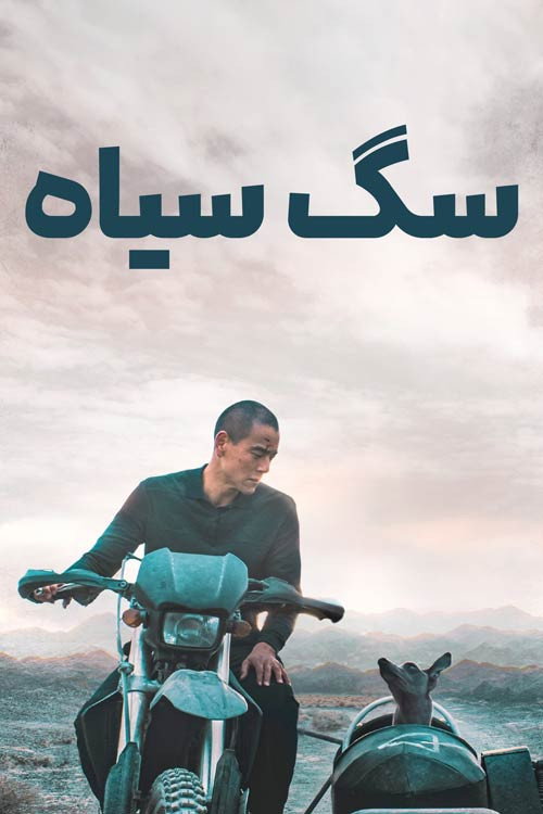 سگ سیاه